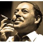 couverture Auteur des Editions Antigone14 : Tennessee WILLIAMS